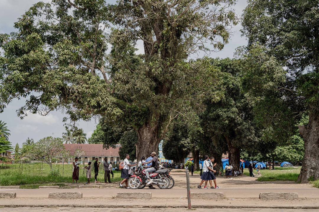 Travel Stories 14