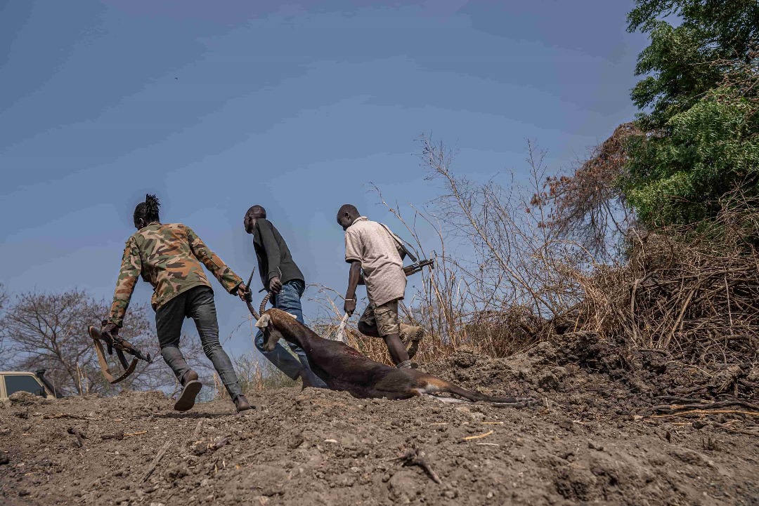 South-Sudan 15